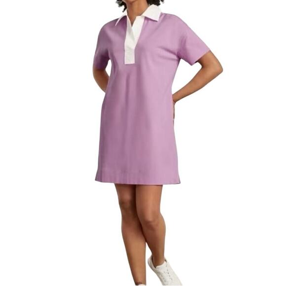 EVERLANE Organic Cotton Polo Collared Dress Preppy - Sz Small - NWT - Picture 1 of 2